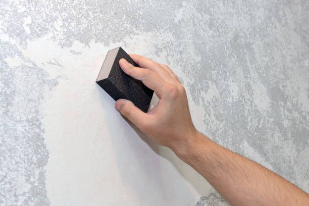 Best Industrial Mold Remediation  in Pontotoc, MS