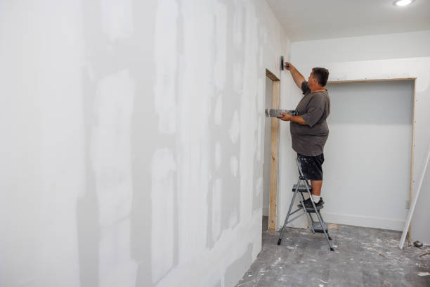 Best Mold Damage Restoration  in Pontotoc, MS