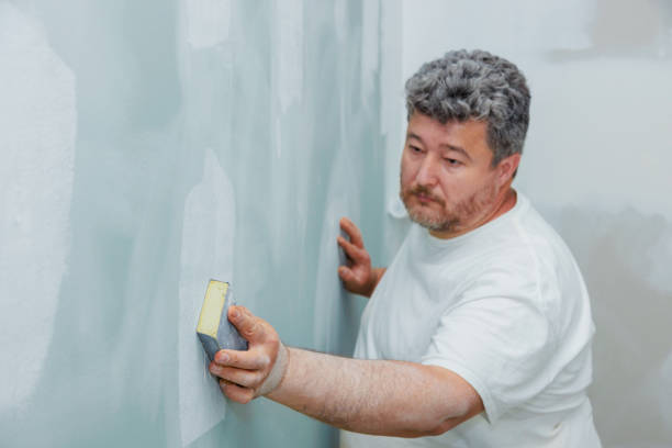 Best Real Estate Mold Inspection  in Pontotoc, MS