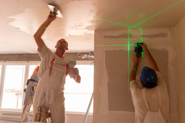 Best Real Estate Mold Inspection  in Pontotoc, MS