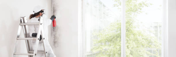Best Mold Documentation for Insurance Claims  in Pontotoc, MS