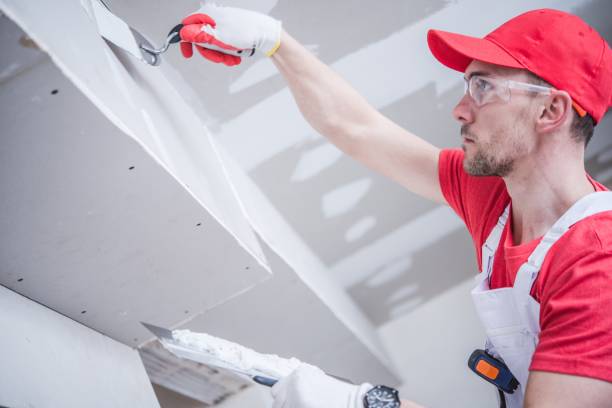 Best Environmental Consulting for Mold Prevention  in Pontotoc, MS